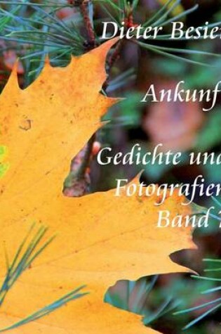 Cover of Ankunft