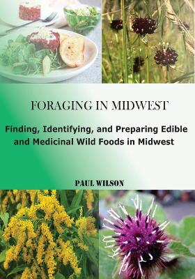 Book cover for Foraging in Midwest