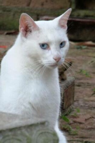 Cover of A Beautiful White Cat with Blue Eyes in the Garden