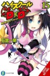 Book cover for High School DxD, Vol. 15 (light novel)