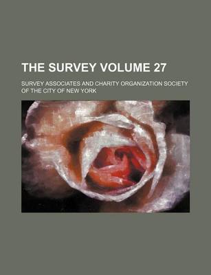 Book cover for The Survey Volume 27