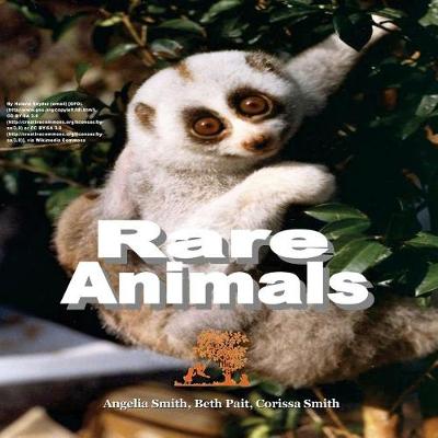 Book cover for Rare Animals