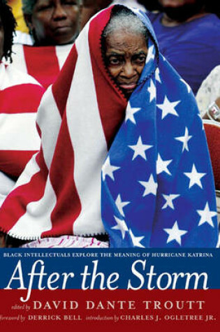 Cover of After The Storm