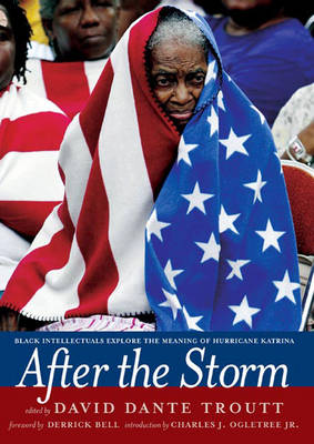 Book cover for After The Storm