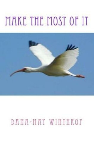 Cover of Make the most of it