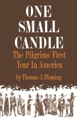 Book cover for One Small Candle