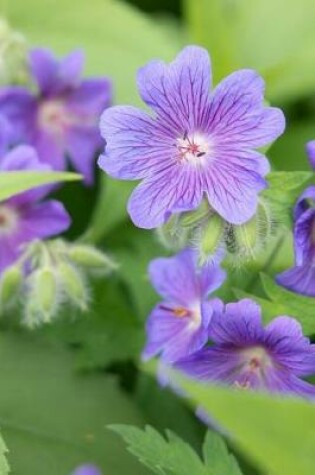 Cover of Beautiful Cranesbill Purple Geranium Blooms Journal