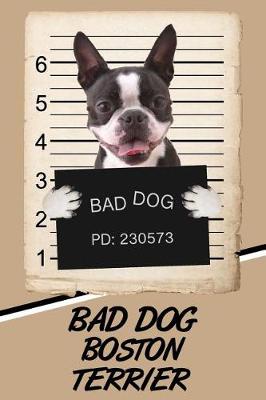 Book cover for Bad Dog Boston Terrier