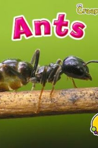 Cover of Ants