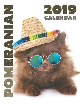 Book cover for Pomeranian 2019 Calendar