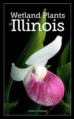 Book cover for Wetland Plants of Illinois