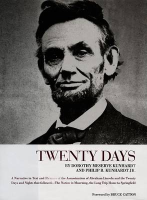 Book cover for Twenty Days