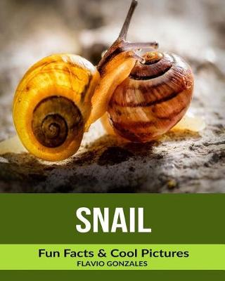 Book cover for Snail