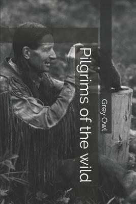 Cover of Pilgrims of the wild