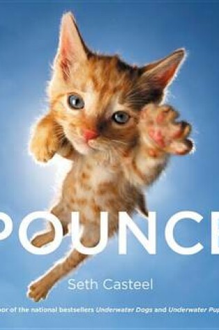 Cover of Pounce