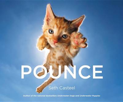 Book cover for Pounce