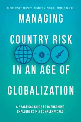 Book cover for Managing Country Risk in an Age of Globalization