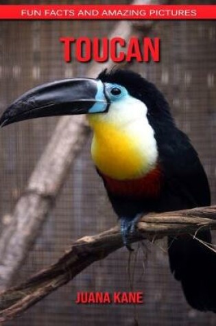 Cover of Toucan