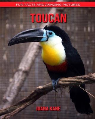 Book cover for Toucan