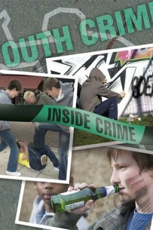 Cover of Youth Crime