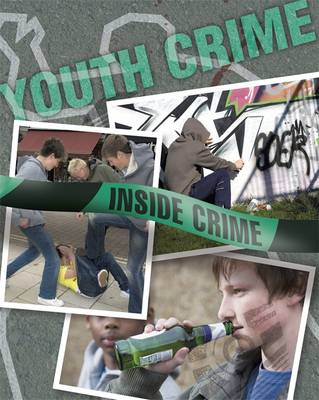 Book cover for Youth Crime