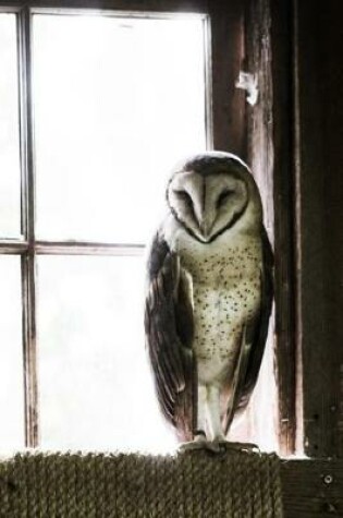 Cover of Barn Owl - Lined Notebook with Margins