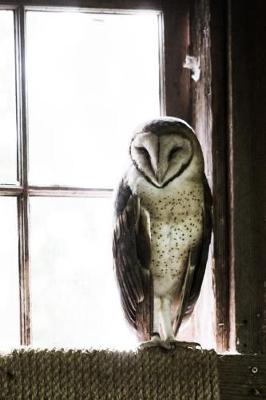 Book cover for Barn Owl - Lined Notebook with Margins