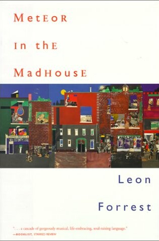 Cover of Meteor in the Madhouse