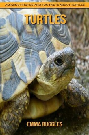 Cover of Turtles