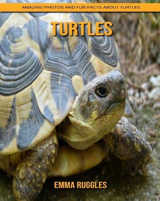 Book cover for Turtles