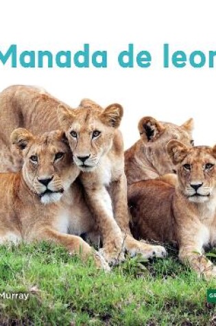 Cover of Manada de leones (Lion Pride)