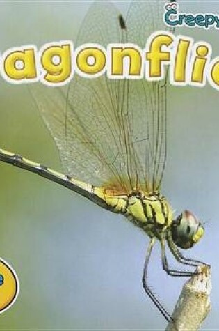 Cover of Dragonflies (Creepy Critters)