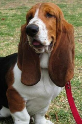 Cover of Cute Basset Hound Dog Resting in the Grass Journal