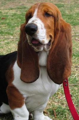 Book cover for Cute Basset Hound Dog Resting in the Grass Journal