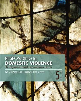 Book cover for Responding to Domestic Violence