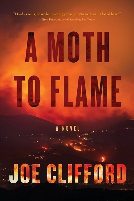 Book cover for A Moth to Flame