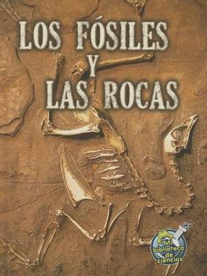 Book cover for Los Fósiles Y Las Rocas