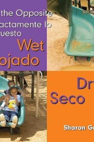 Cover of Mojado, Seco / Wet, Dry