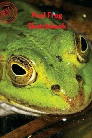 Cover of Pool Frog Sketchbook