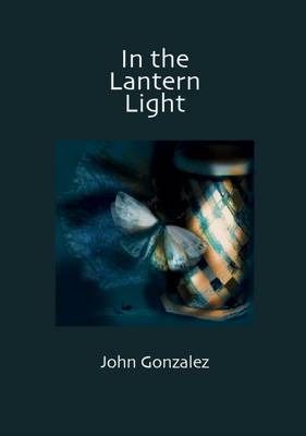 Book cover for In the Lantern Light