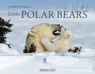 Book cover for Little Polar Bears