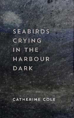 Book cover for Seabirds Crying in the Harbour Dark