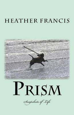 Book cover for Prism