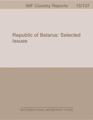 Book cover for Republic of Belarus