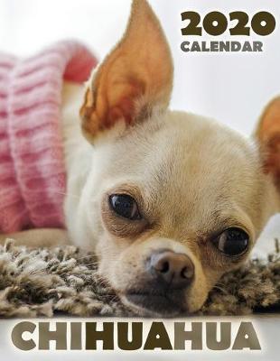 Book cover for Chihuahua 2020 Calendar