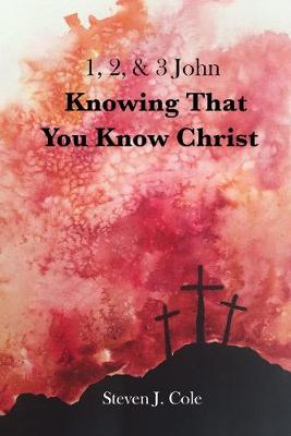 Cover of Knowing that You Know Christ