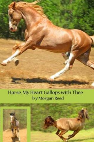 Cover of Horse, my heart gallops with thee.