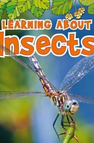 Cover of Learning about Insects