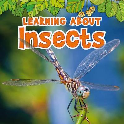 Book cover for Learning about Insects