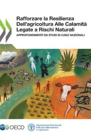 Cover of Rafforzare La Resilienza Dell'agricoltura Alle Calamita Legate a Rischi Naturali Approfondimenti Da Studi Di Caso Nazionali